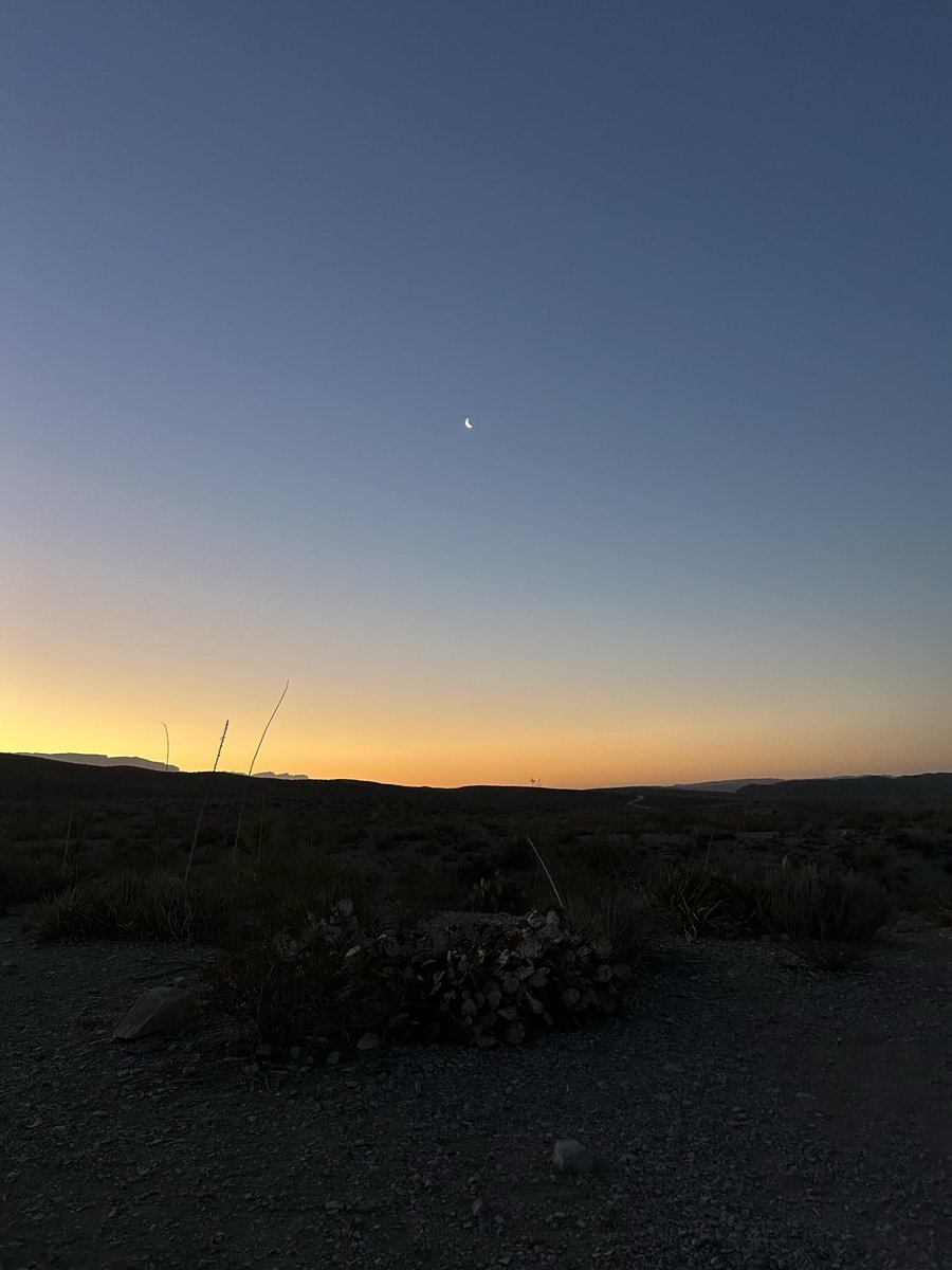 Nancy_I_O_S 🪐 tweet media