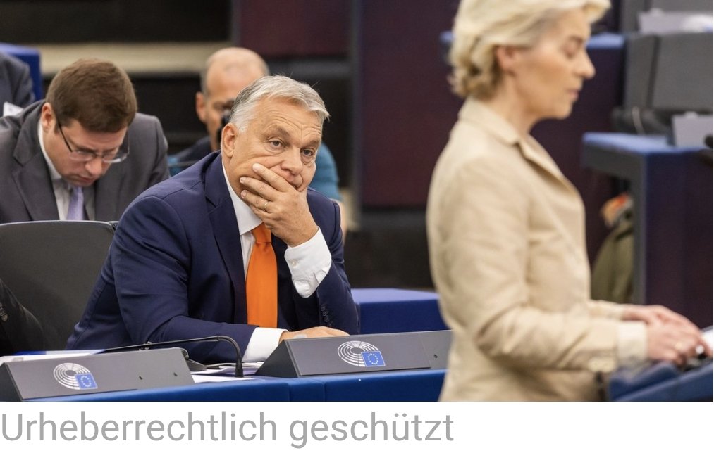 Berenice tweet media