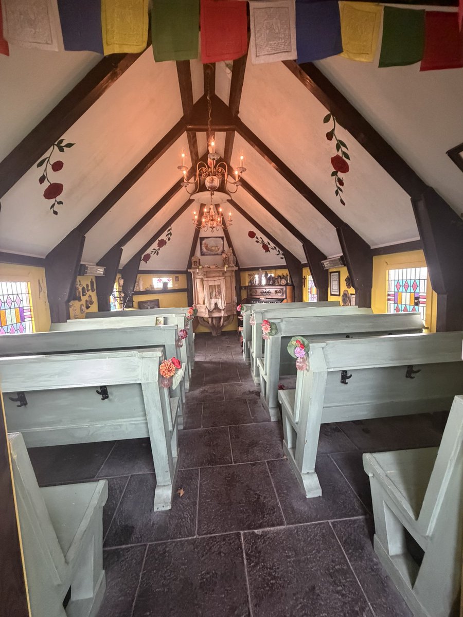 José 👩🏻‍🌾🐮🚜🎂🍰🍪🇳🇱🫖 tweet media