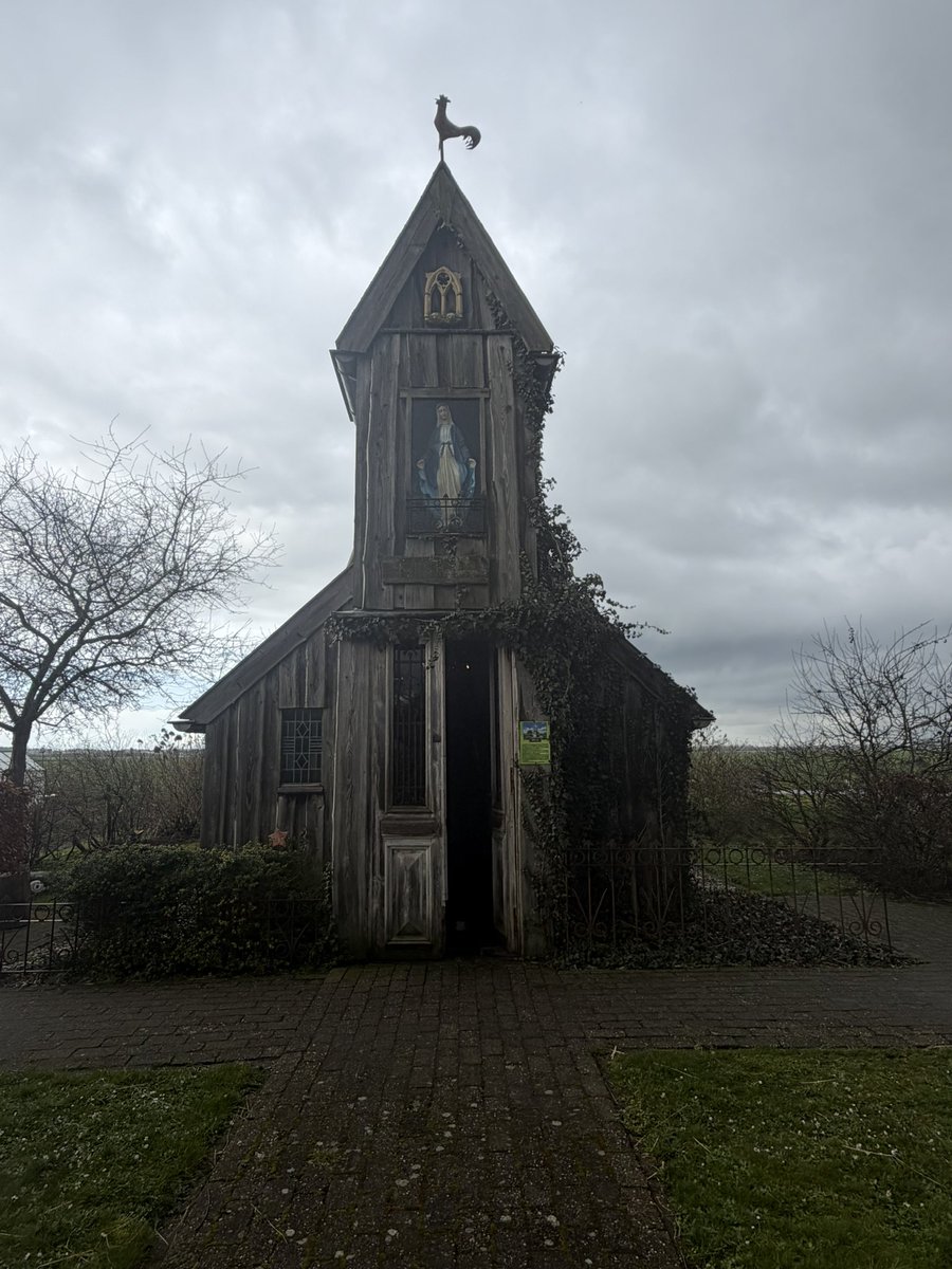 José 👩🏻‍🌾🐮🚜🎂🍰🍪🇳🇱🫖 tweet media