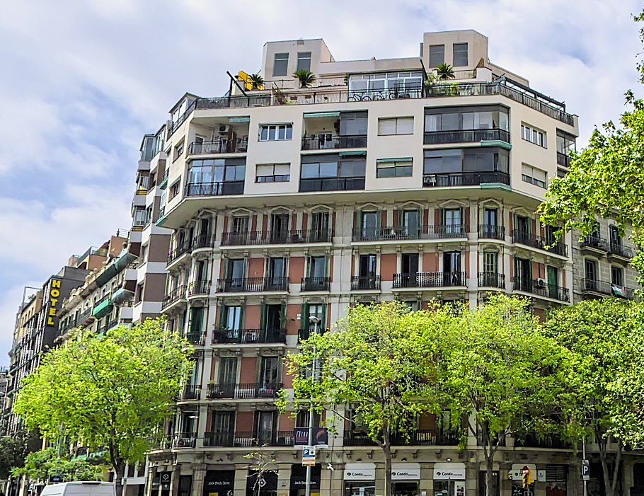 Nicia 🌍🚲🚋🚍🚇🌳 tweet media