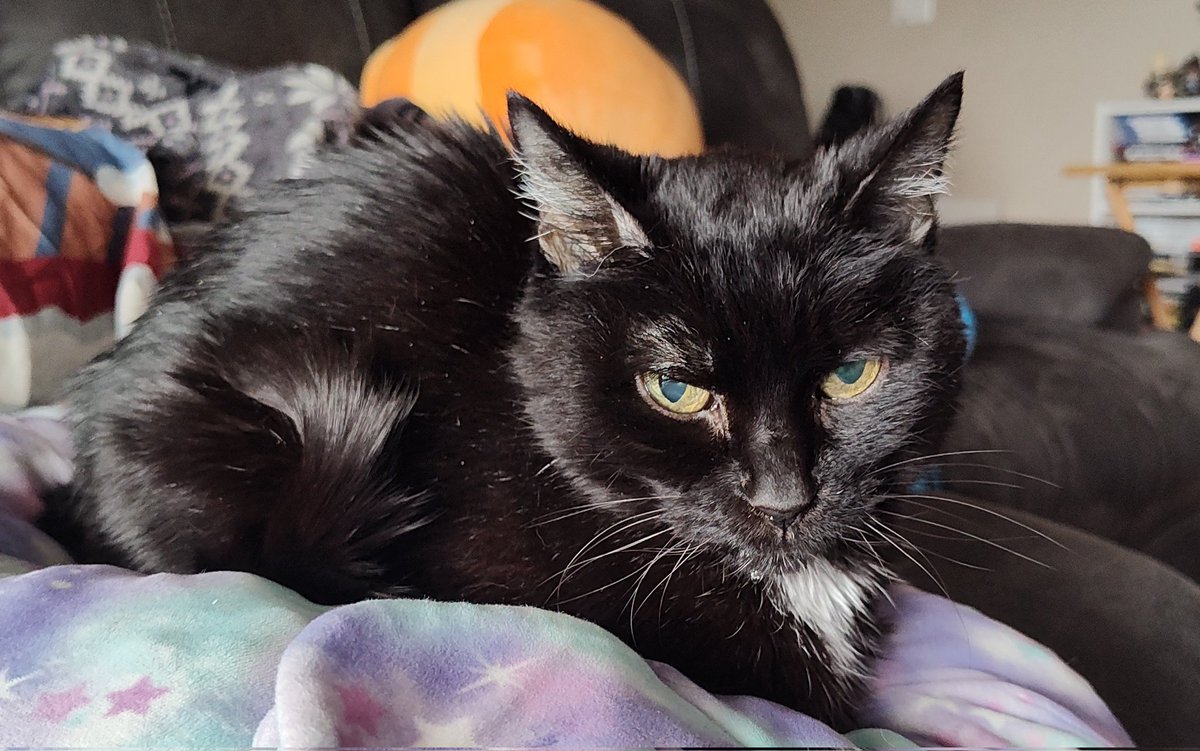 Thancred tweet media