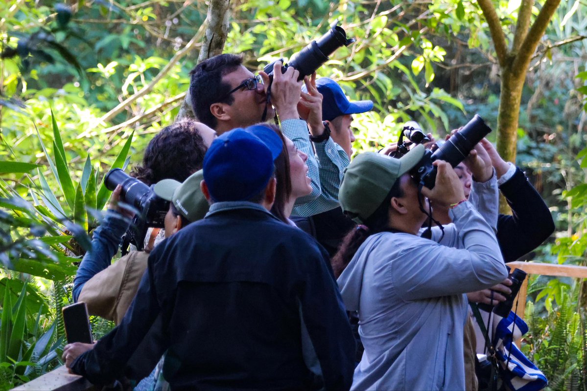 El Salvador Travel tweet media