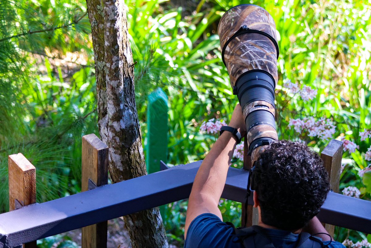 El Salvador Travel tweet media