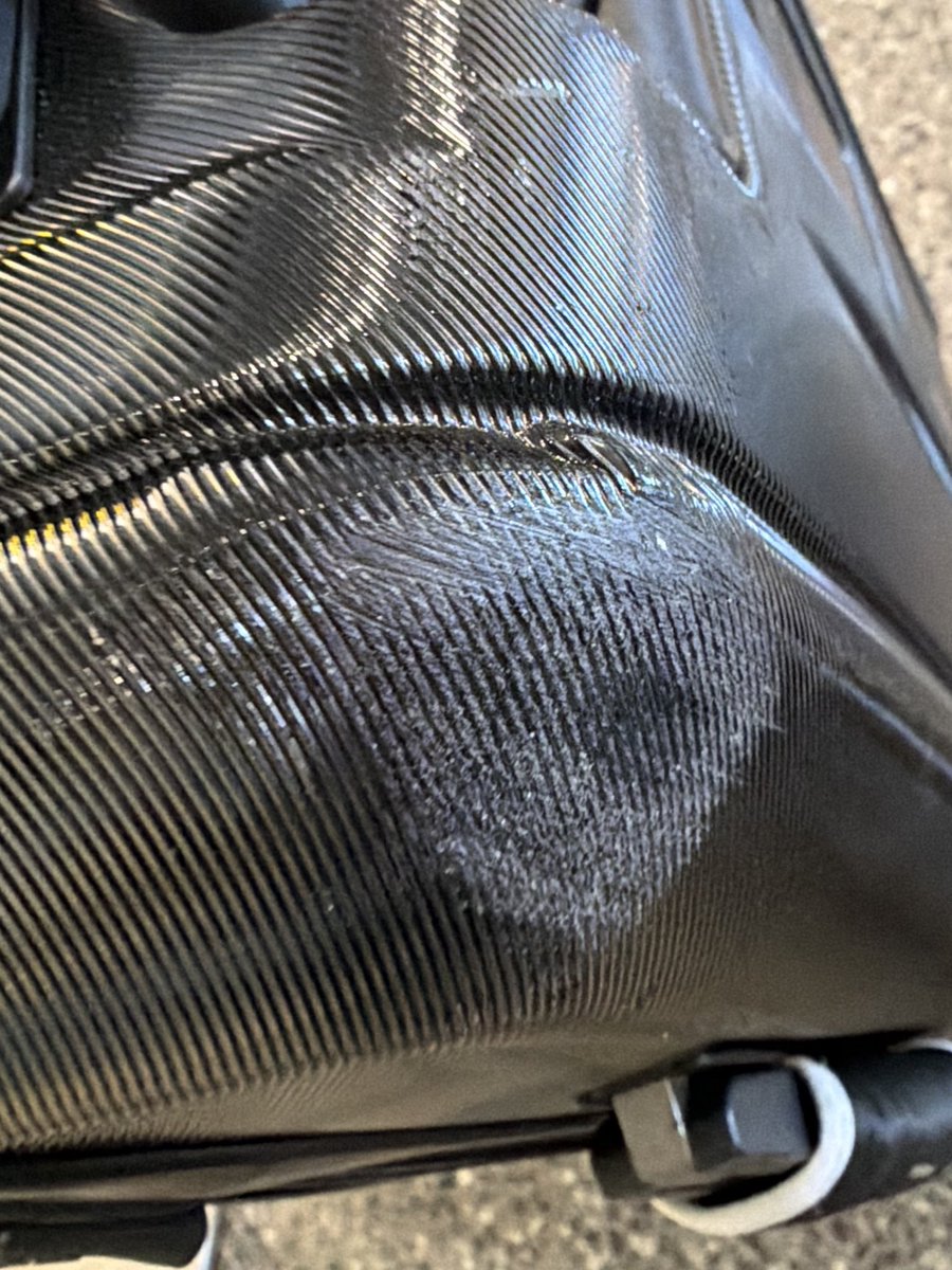 Priscilla Kelly tweet media