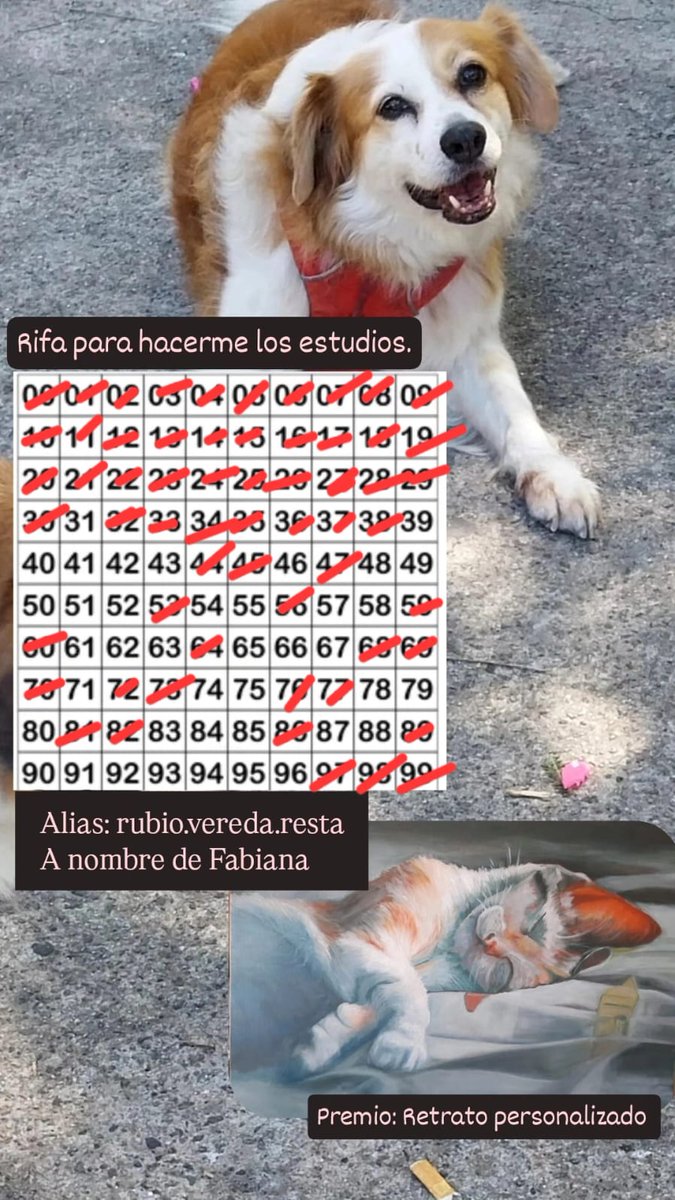 Por favor compartir.
🥹💖🐶