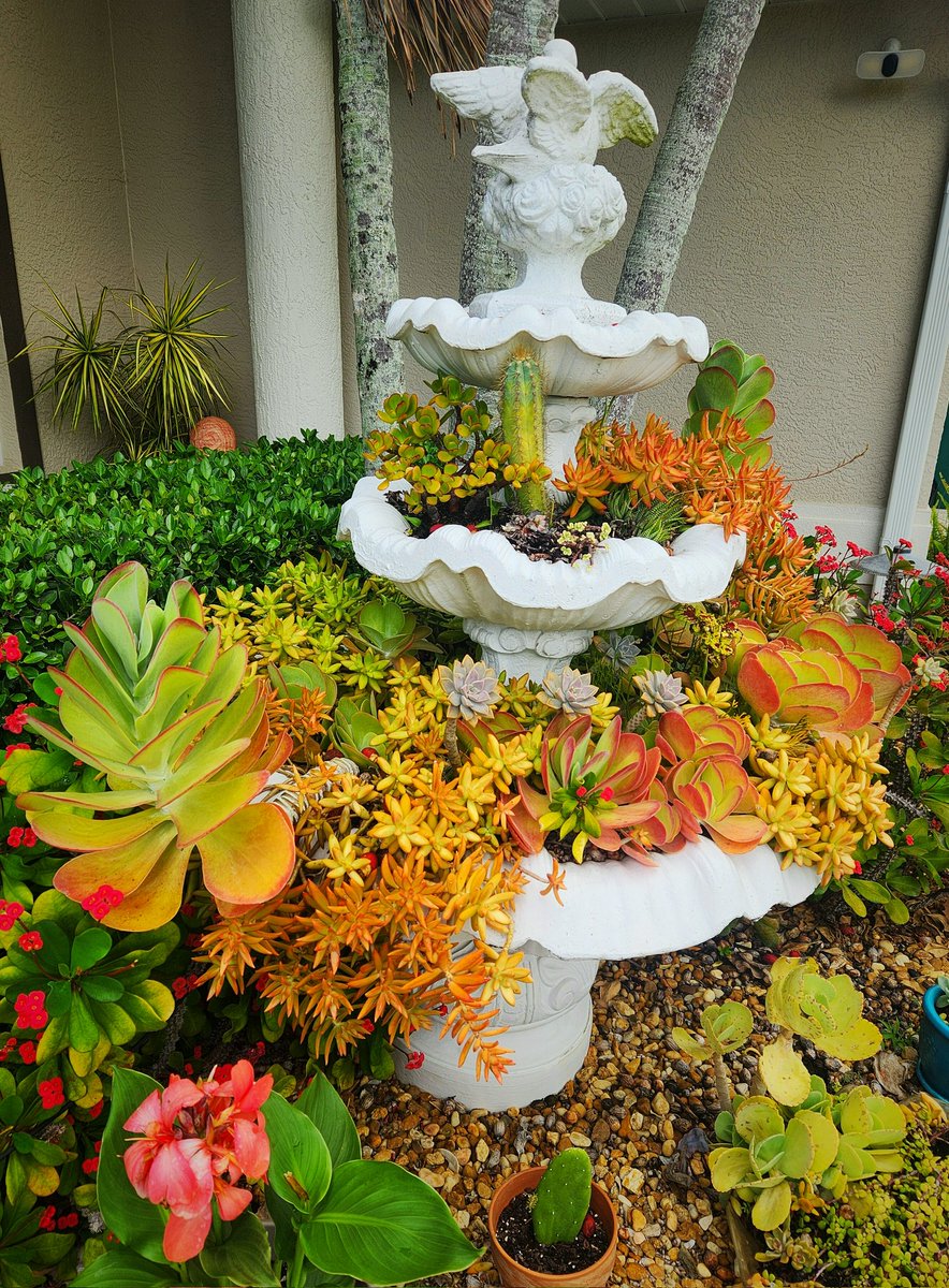 Geri Perna tweet media