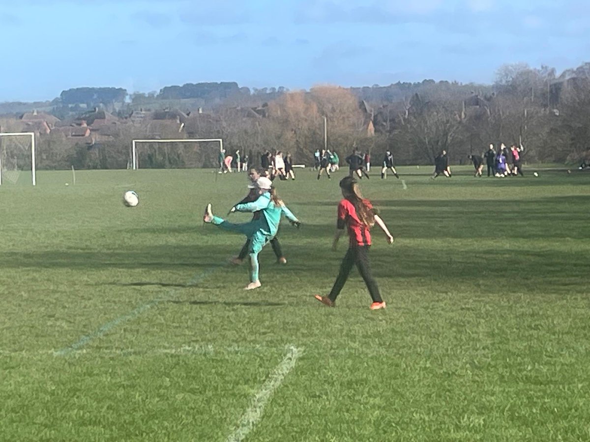 Hoops 🐺 tweet media