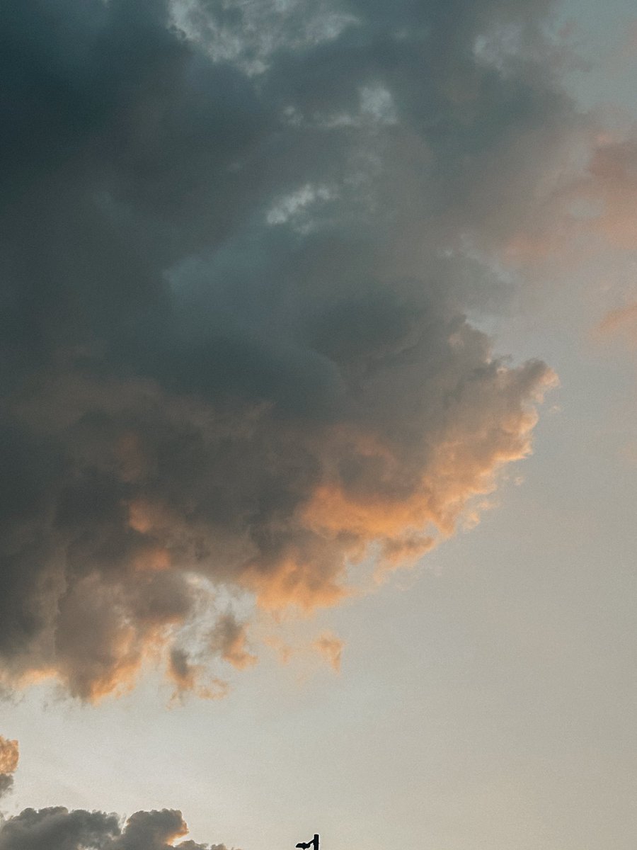 โยคาพรามูลา tweet media