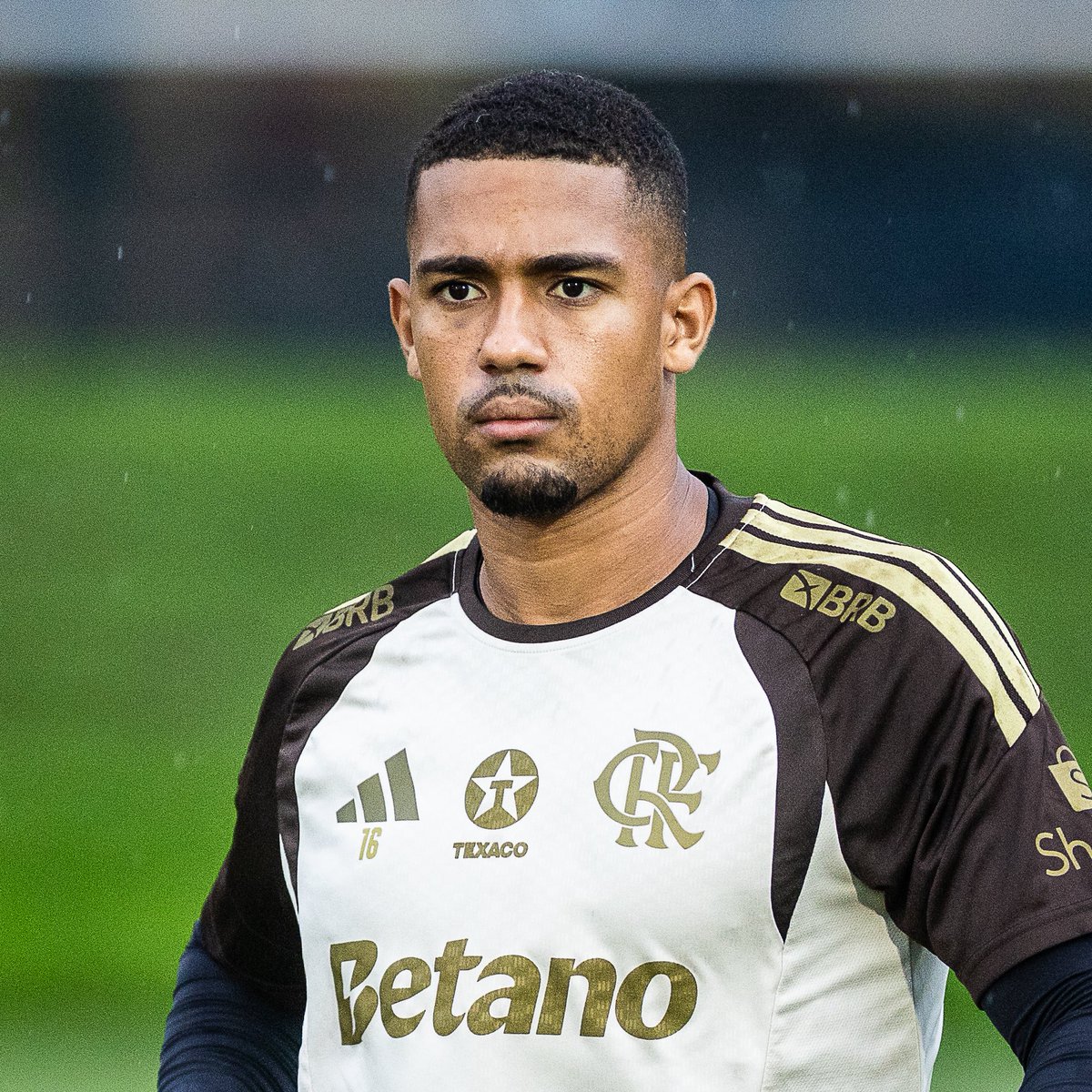 Leo José tweet media