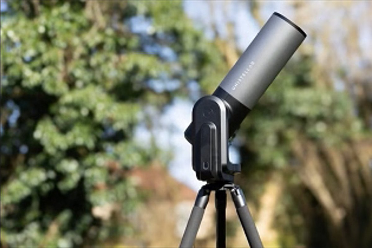 Zenitonline tweet media