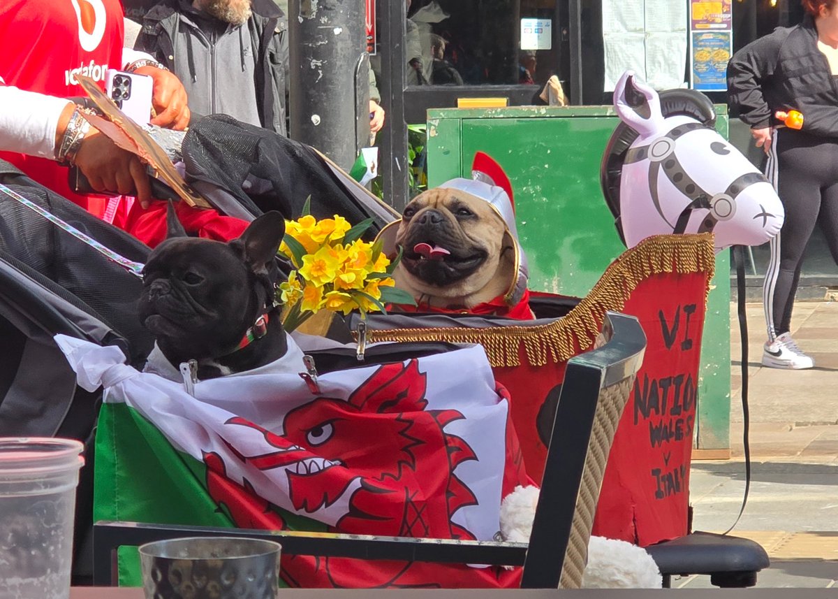 Obsidian After Dark tweet media