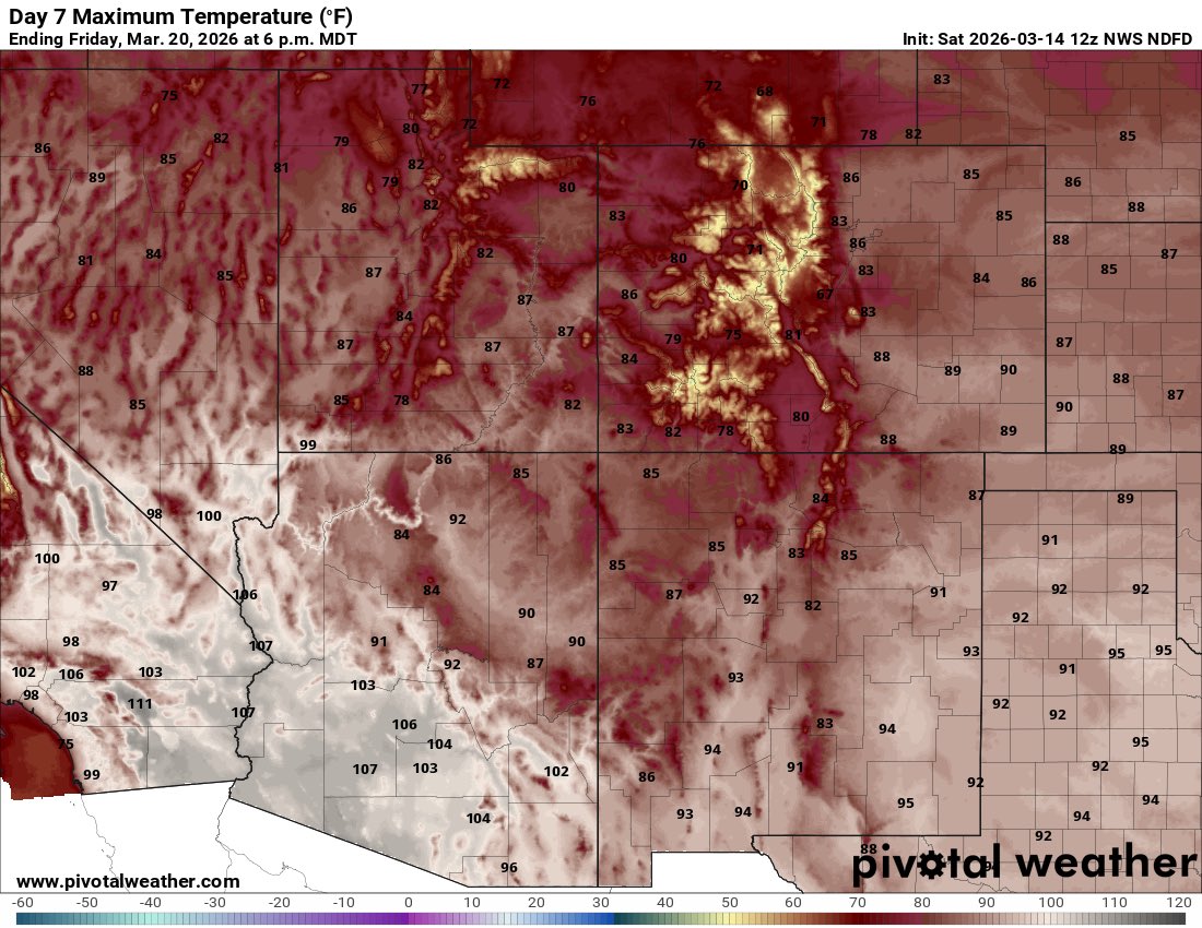 Brody Cowing tweet media