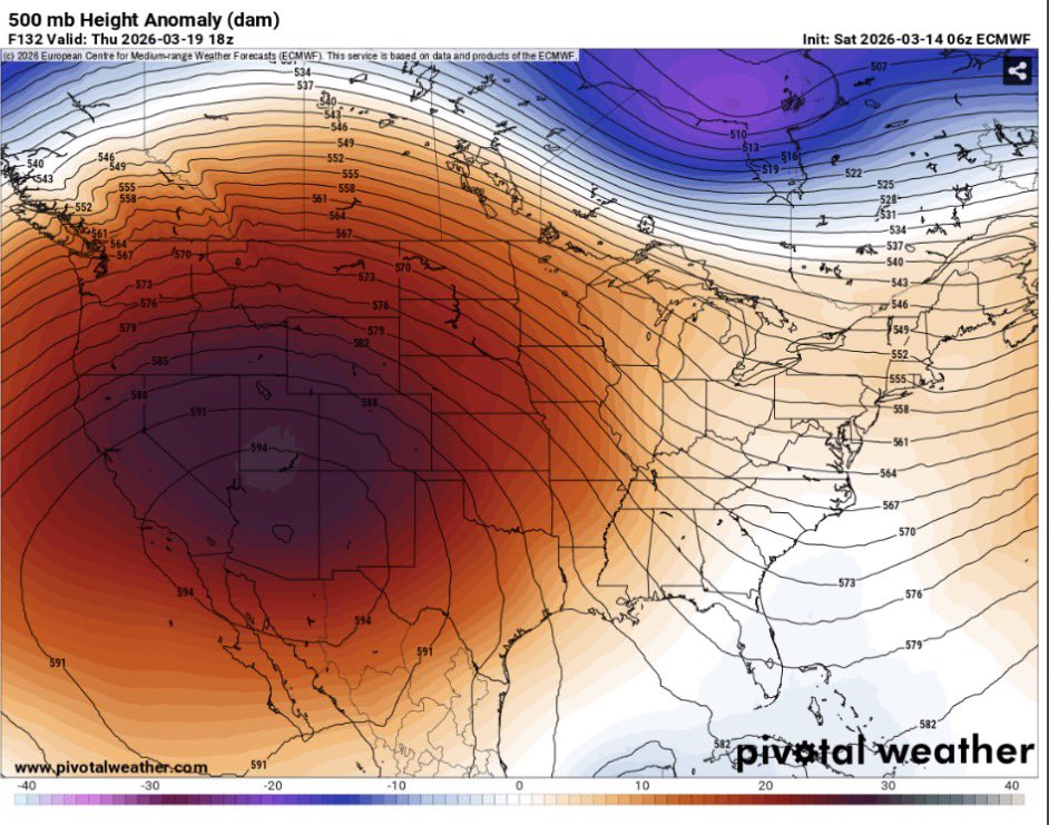 Brody Cowing tweet media