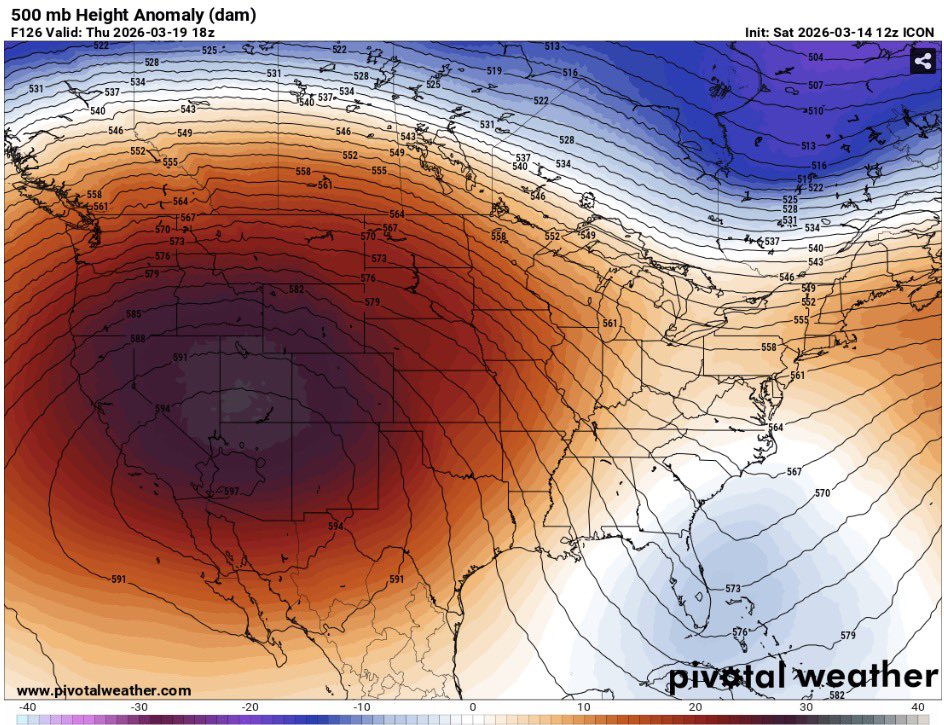 Brody Cowing tweet media