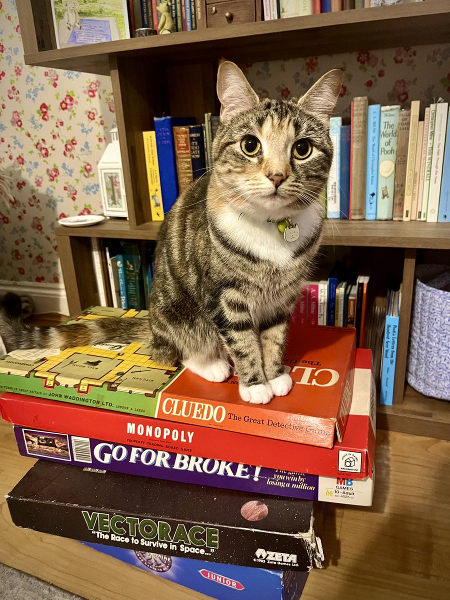 Malcolm & Baby Dog tweet media