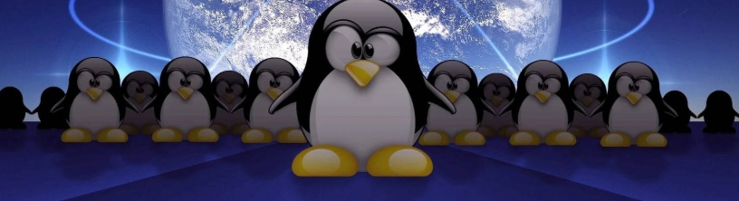 xbit ops tweet media