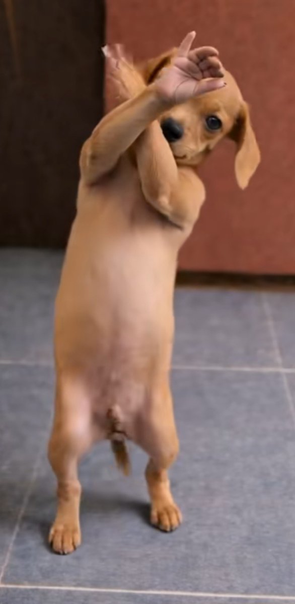 Musanda Sinthumule tweet media