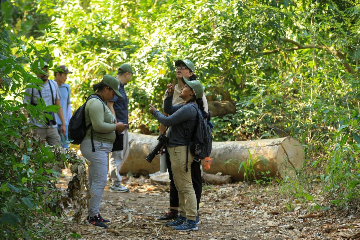 Diario El Salvador tweet media