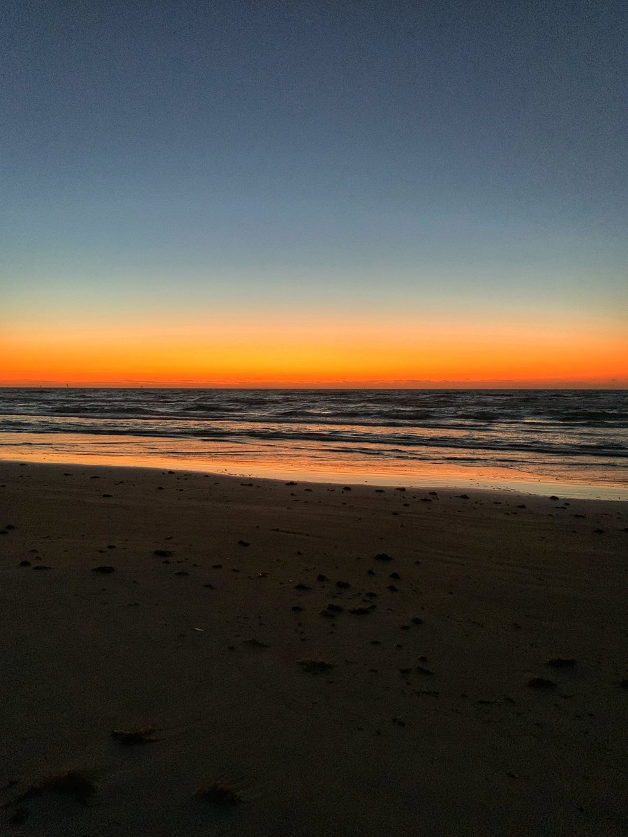 Troy Anderson tweet media