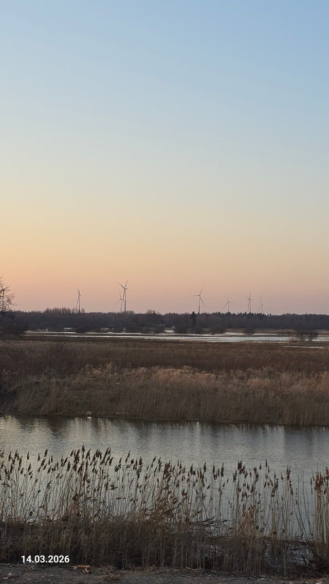 Sarmīte Dūze tweet media