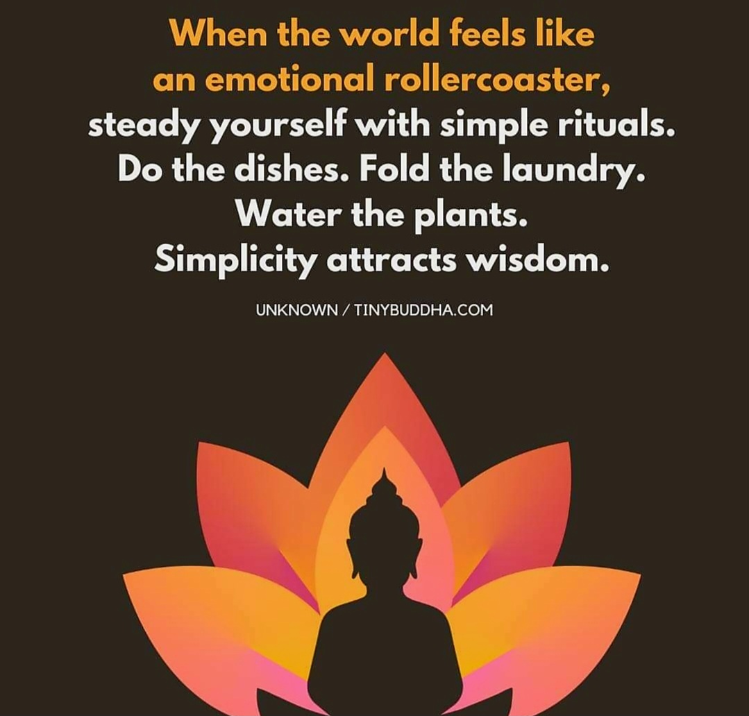 Monica 💙🌻🏳️‍🌈 tweet media