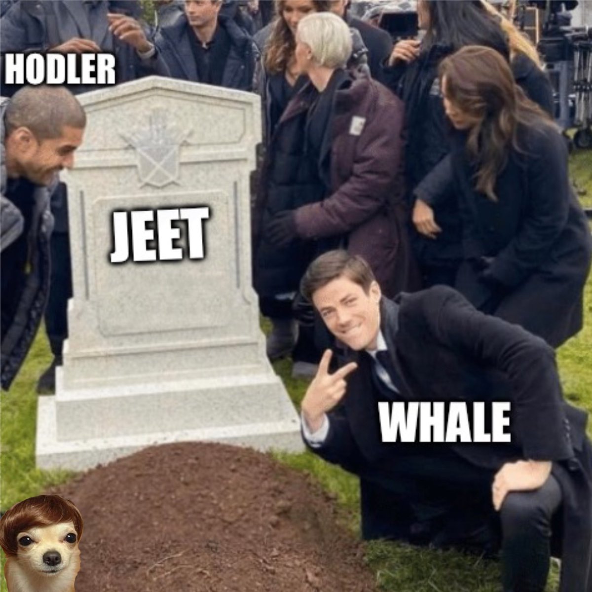 dogwifhair tweet media