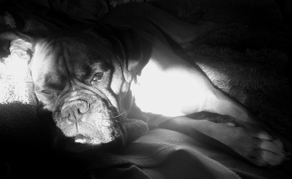 jason sparks (r.i.p frazz) tweet media