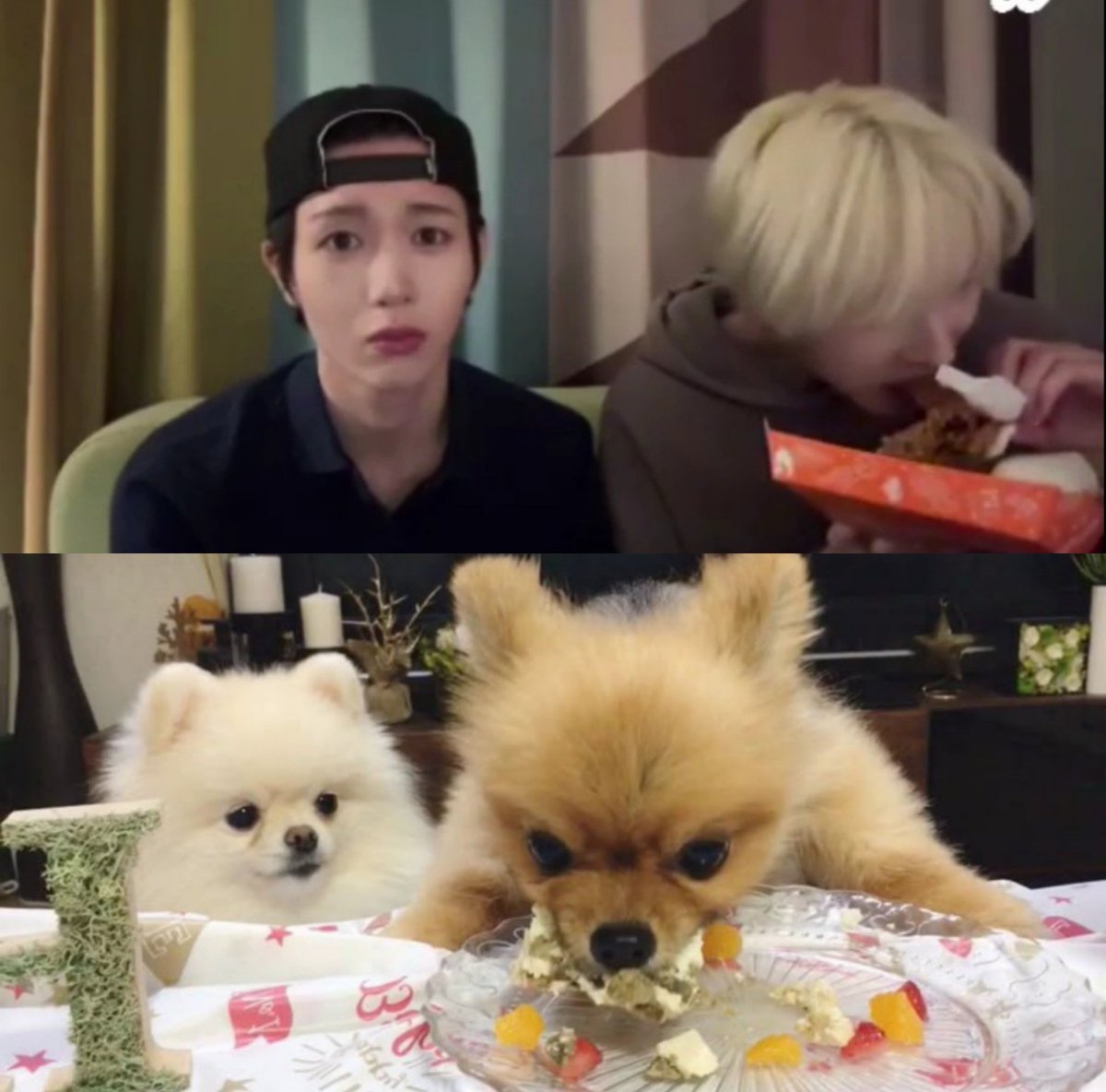 𖦹 (@ryoaresocute) on Twitter photo 