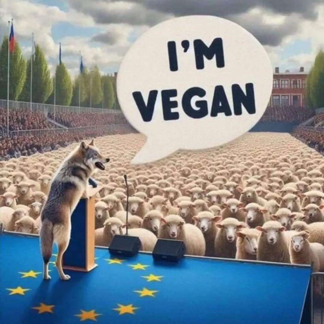 festa197's tweet image. #brexit #EUcorruption #fourthreich #labourOut