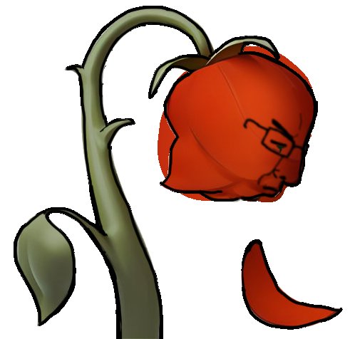 Zuma, of Afreeka Φ 🍉 tweet media