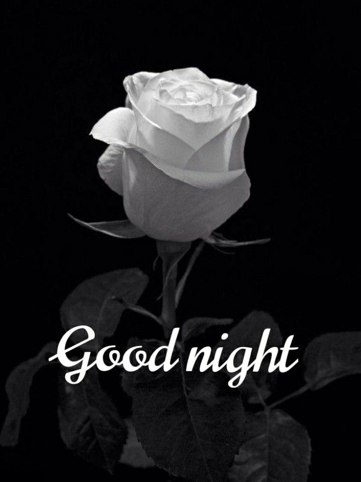 “चाँद भी सो गया, तारे भी सो गए… अब तुम भी मुस्कुरा कर सो जाओ। Good Night 🌙💫”