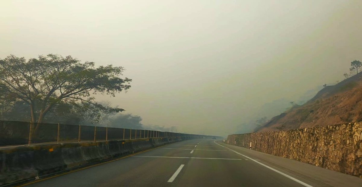 ReporTorres tweet media