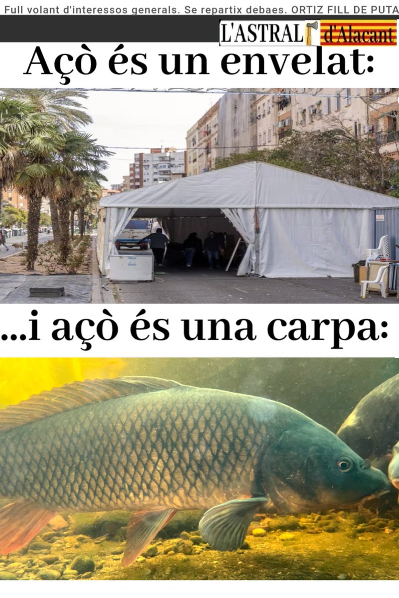 L'astral (@l_astral_) on Twitter photo 