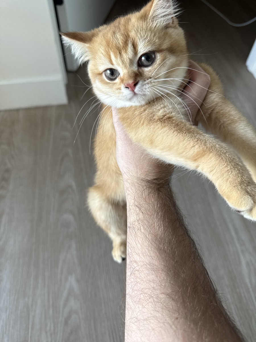 MenaceToSociety 🥶 tweet media