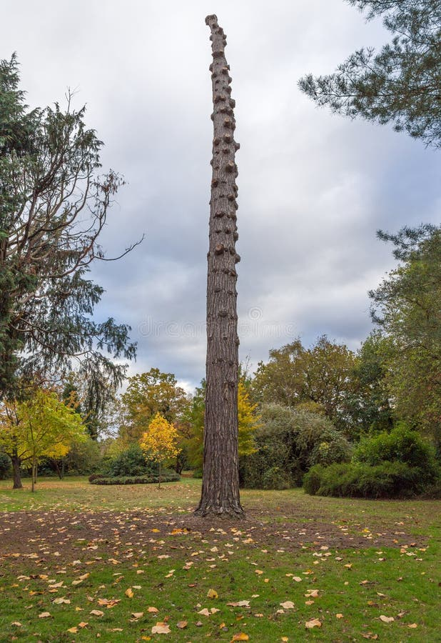 RochesteDorm's tweet photo. the ideal family tree: https://t.co/ksOvMk6skg