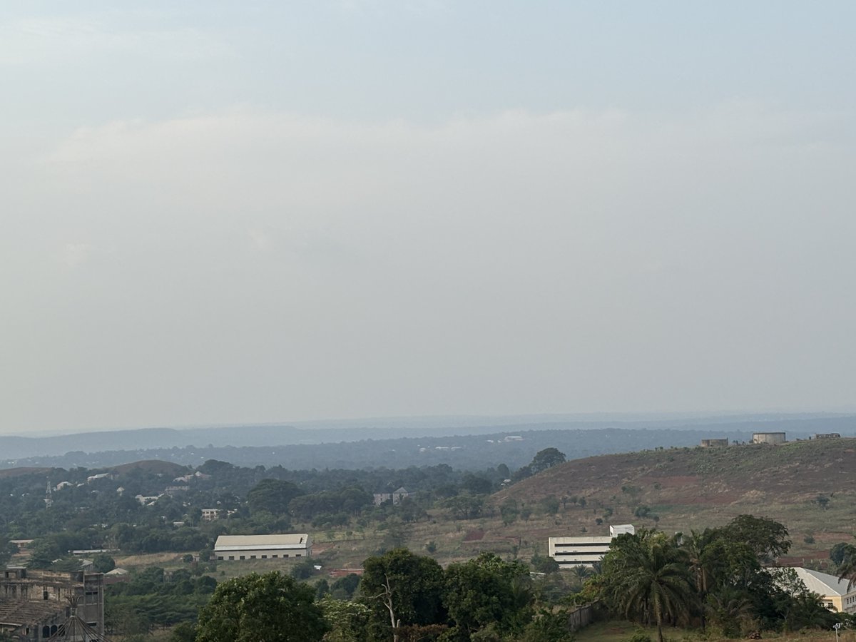 Doncurrent 🥶 tweet media