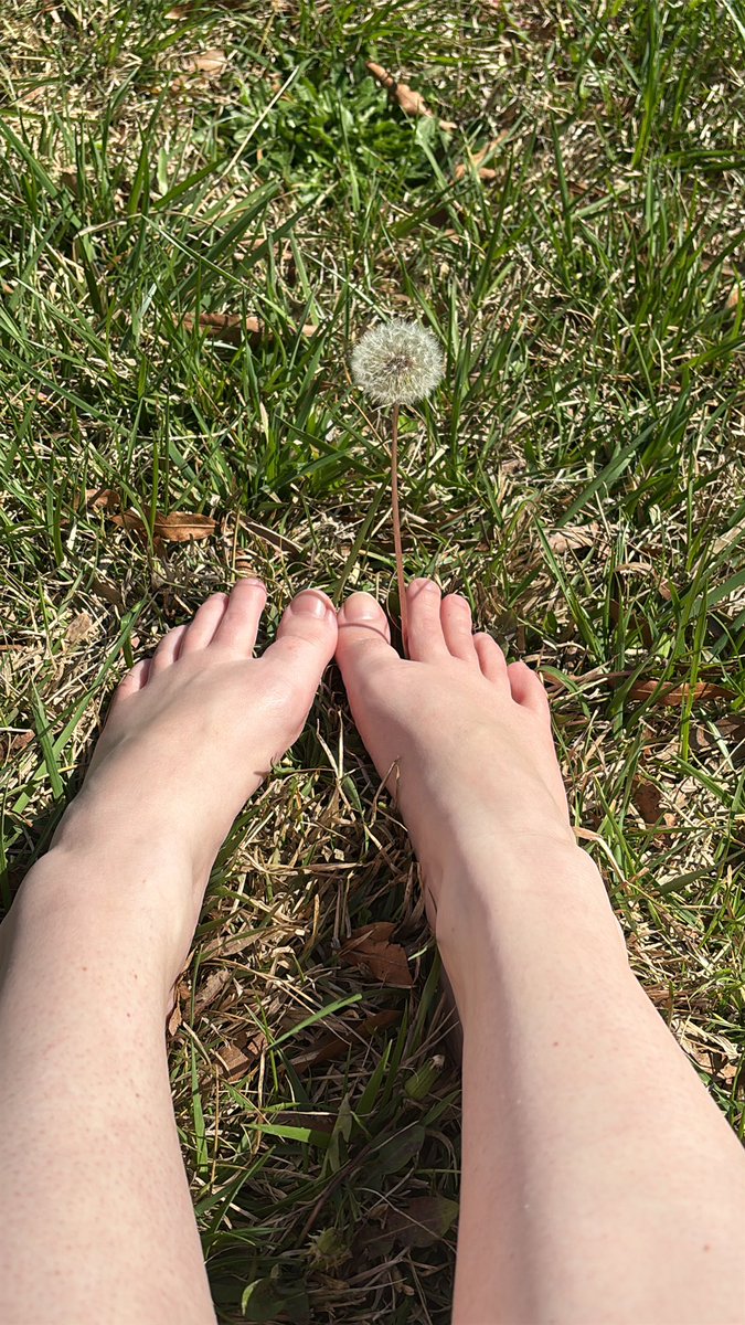 AlienMixture 🌎👑【SVA】 tweet media