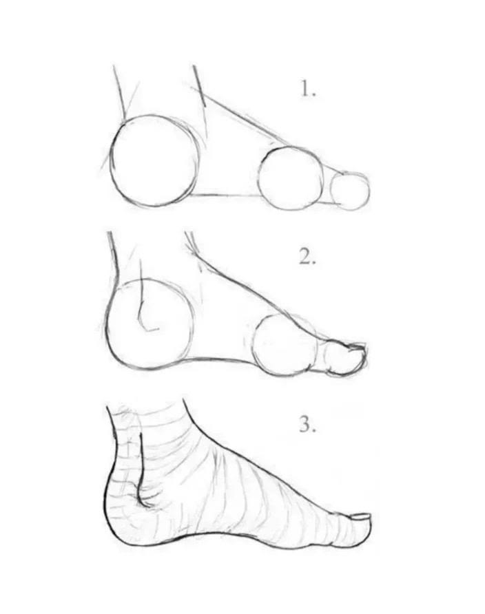 The foot simplified step by step.