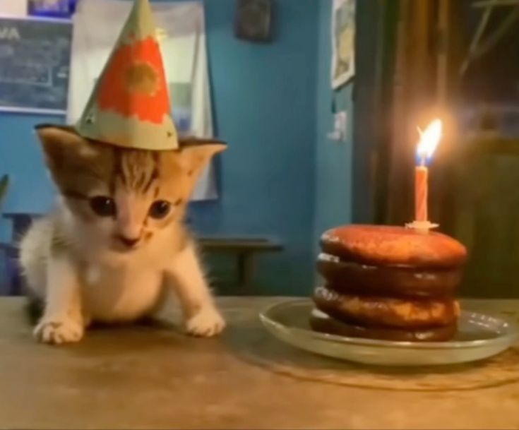 Sylance ✧ tweet media