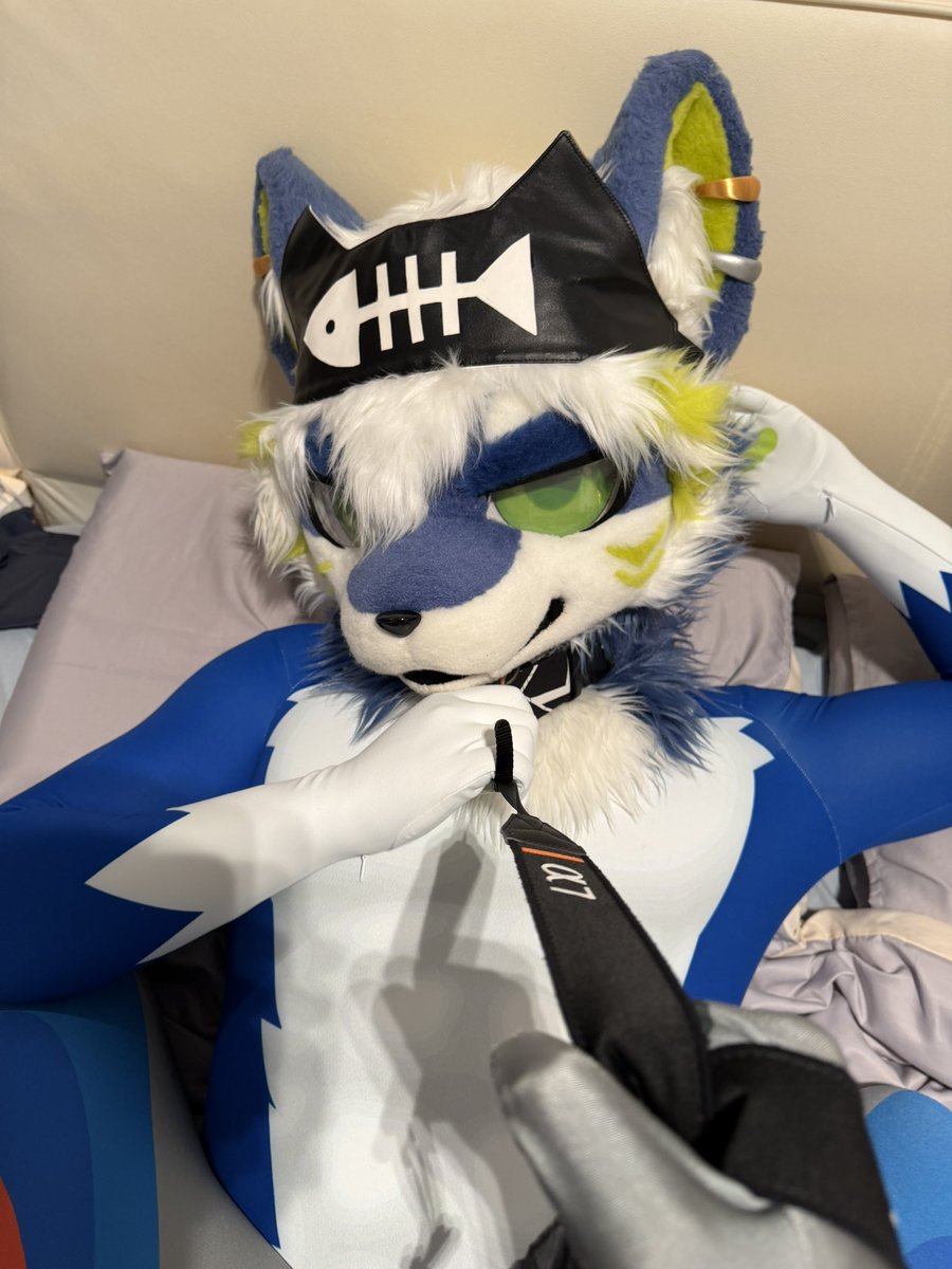 Ghost_狗斯特 tweet media