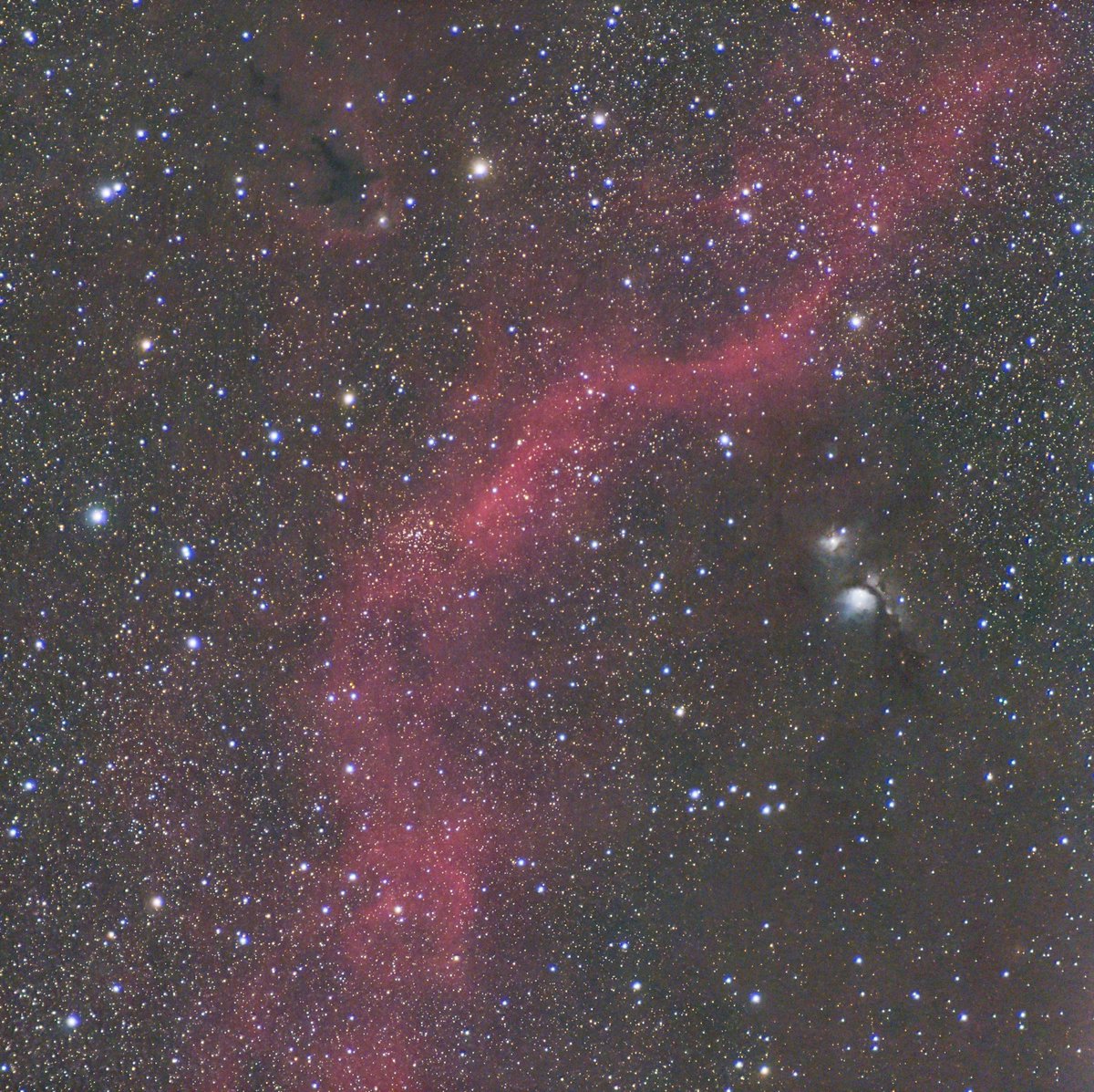 がんま tweet media