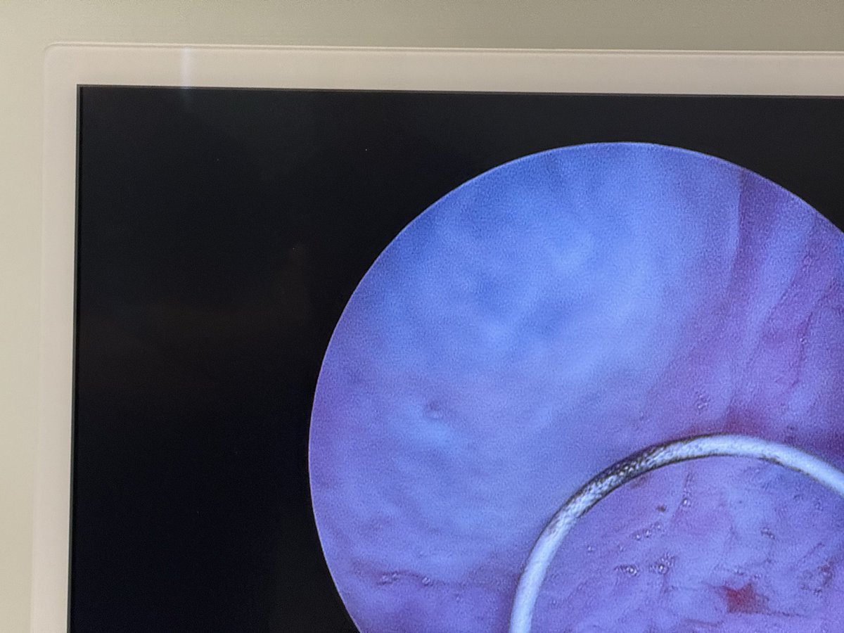 Joshua Meeks tweet media