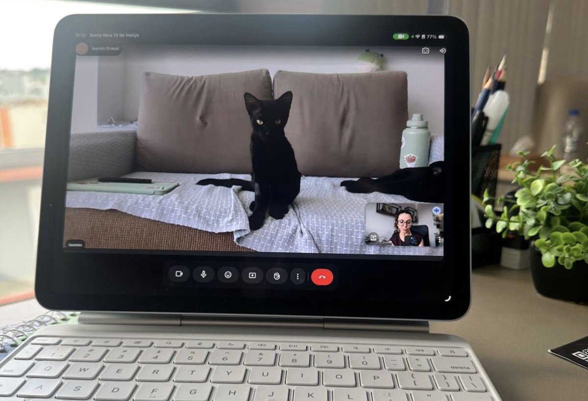 Maldita Summer tweet media