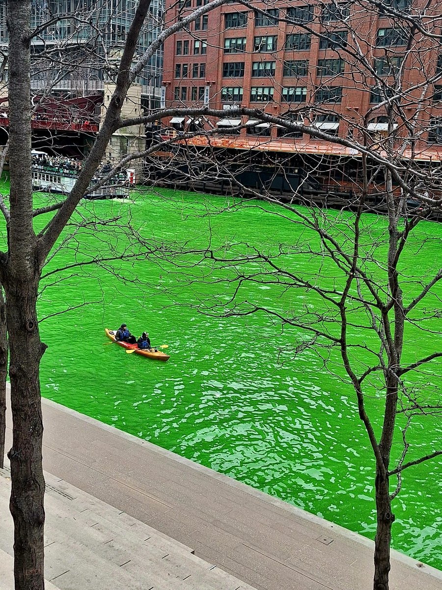 Dino Horse 🐎 tweet media