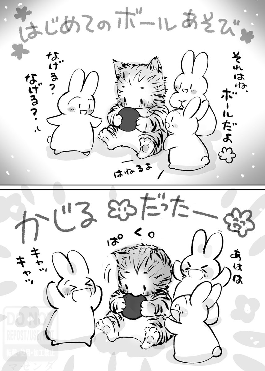 マゼンダ tweet media