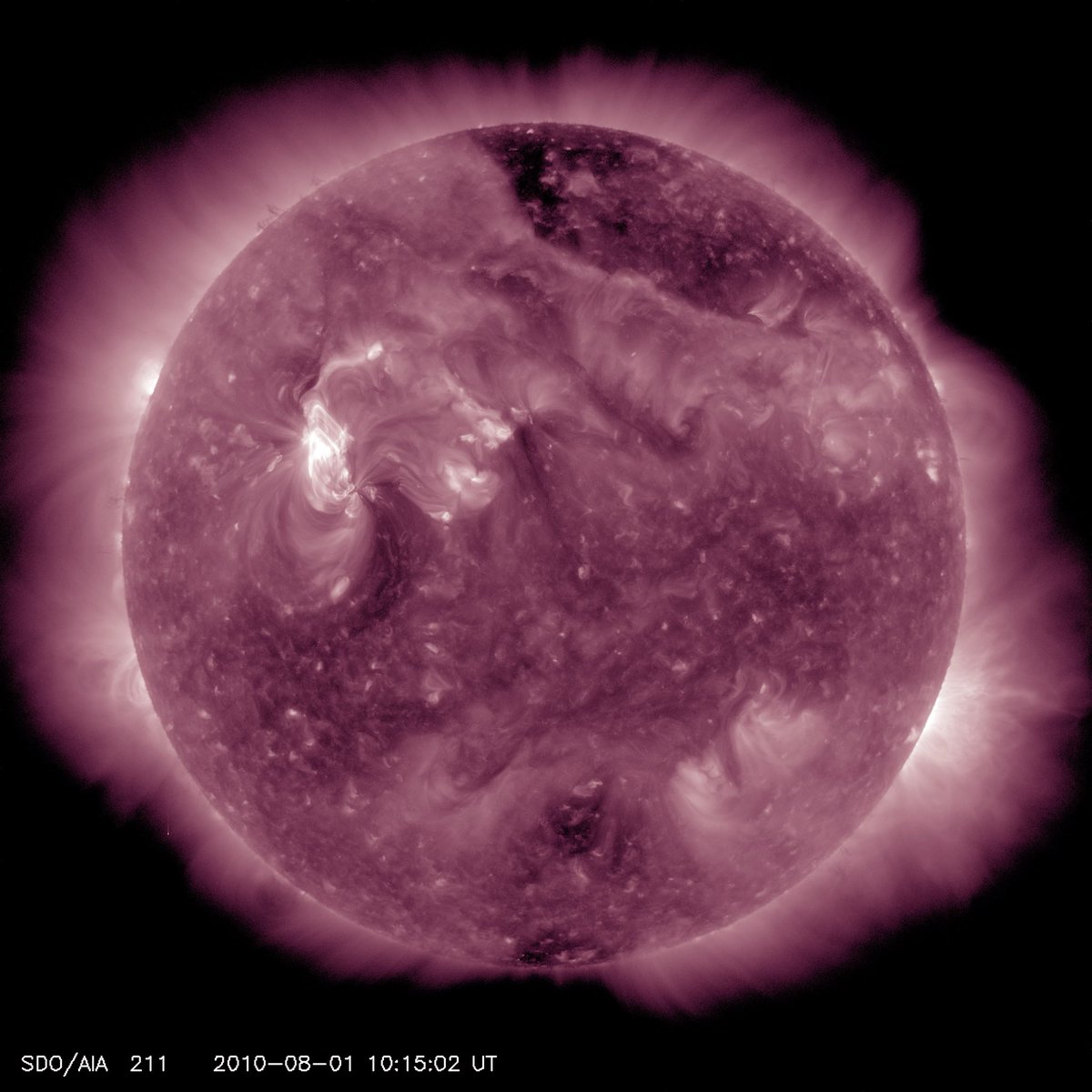 Phillip Davis tweet media