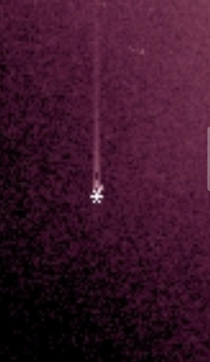 Phillip Davis tweet media