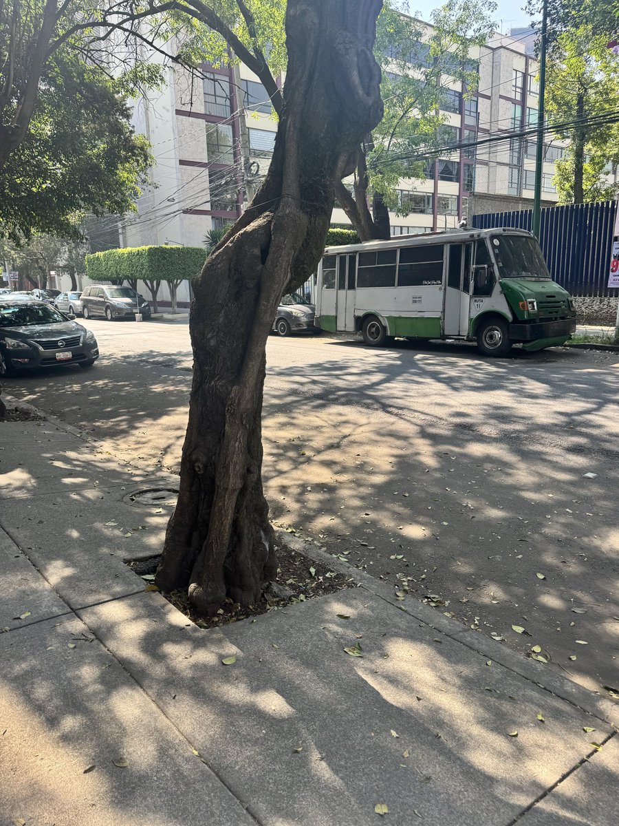 adry mtz b tweet media