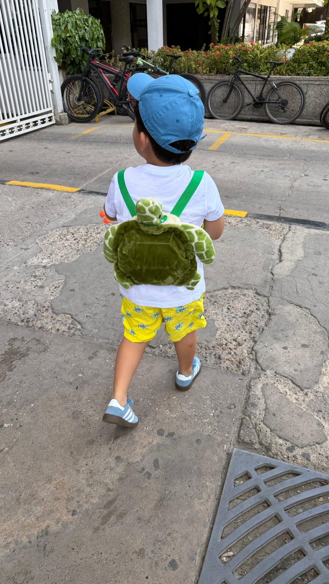 Alejandro Carlos Chacón Camargo tweet media